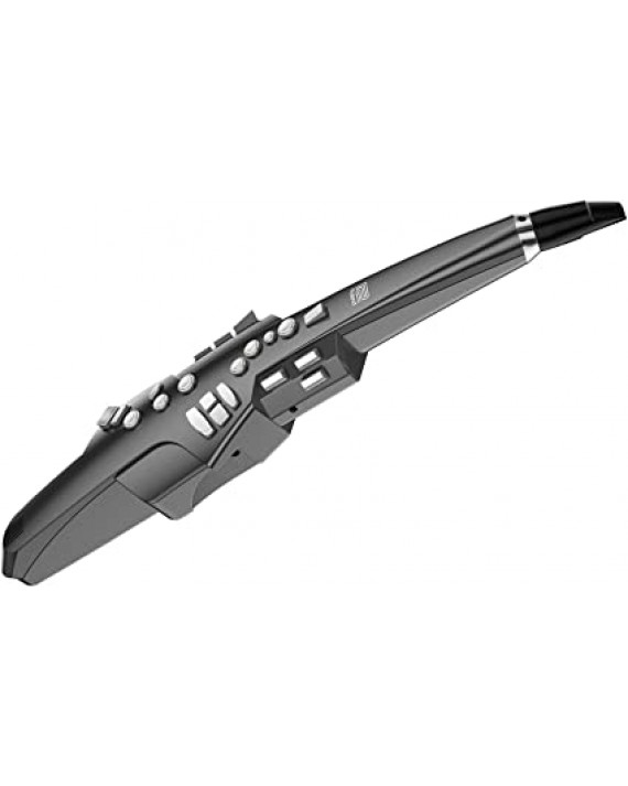 AE-10G Instrumento de Viento Digital color grafito negro por ROLAND