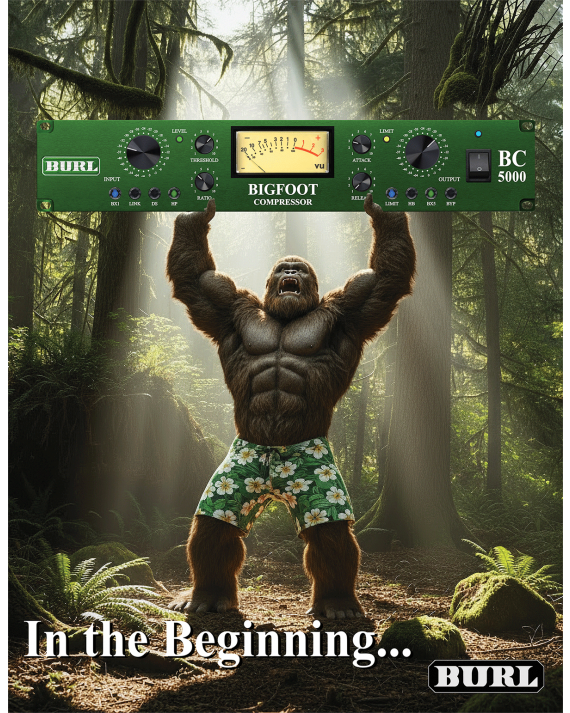 Burl Audio - BC5000 BIGFOOT - Compresor óptico con Limitador y transformadores conmutables