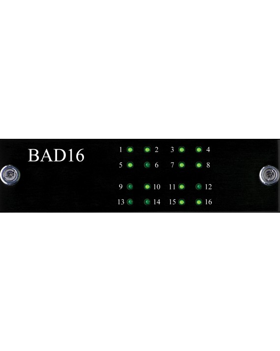 Burl Black BAD16 - 16 Canales ADC Tarjeta para B16 Mothership 3