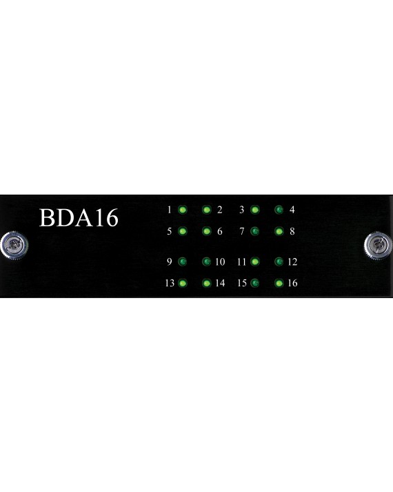 Burl Audio BDA16 - 16 Canales Salids DAC - Tarjeta para B16 Mothership 3