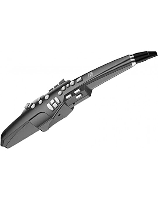AE-10G Instrumento de Viento Digital color grafito negro por ROLAND