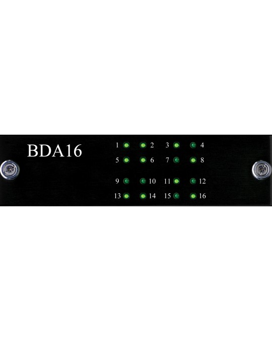 Burl Audio BDA16 - 16 Canales Salids DAC - Tarjeta para B16 Mothership 3