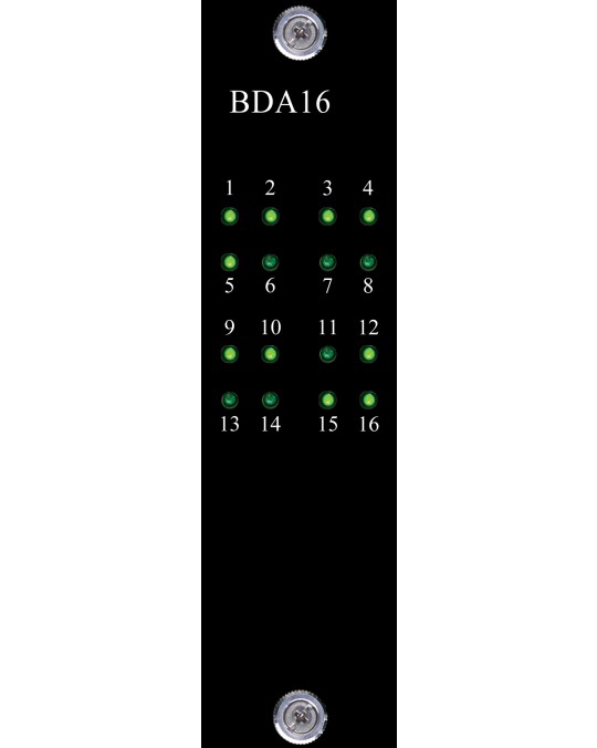 Burl Audio BDA16 - 16 Canales salida DAC -Tarjeta para B80 Mothership 3